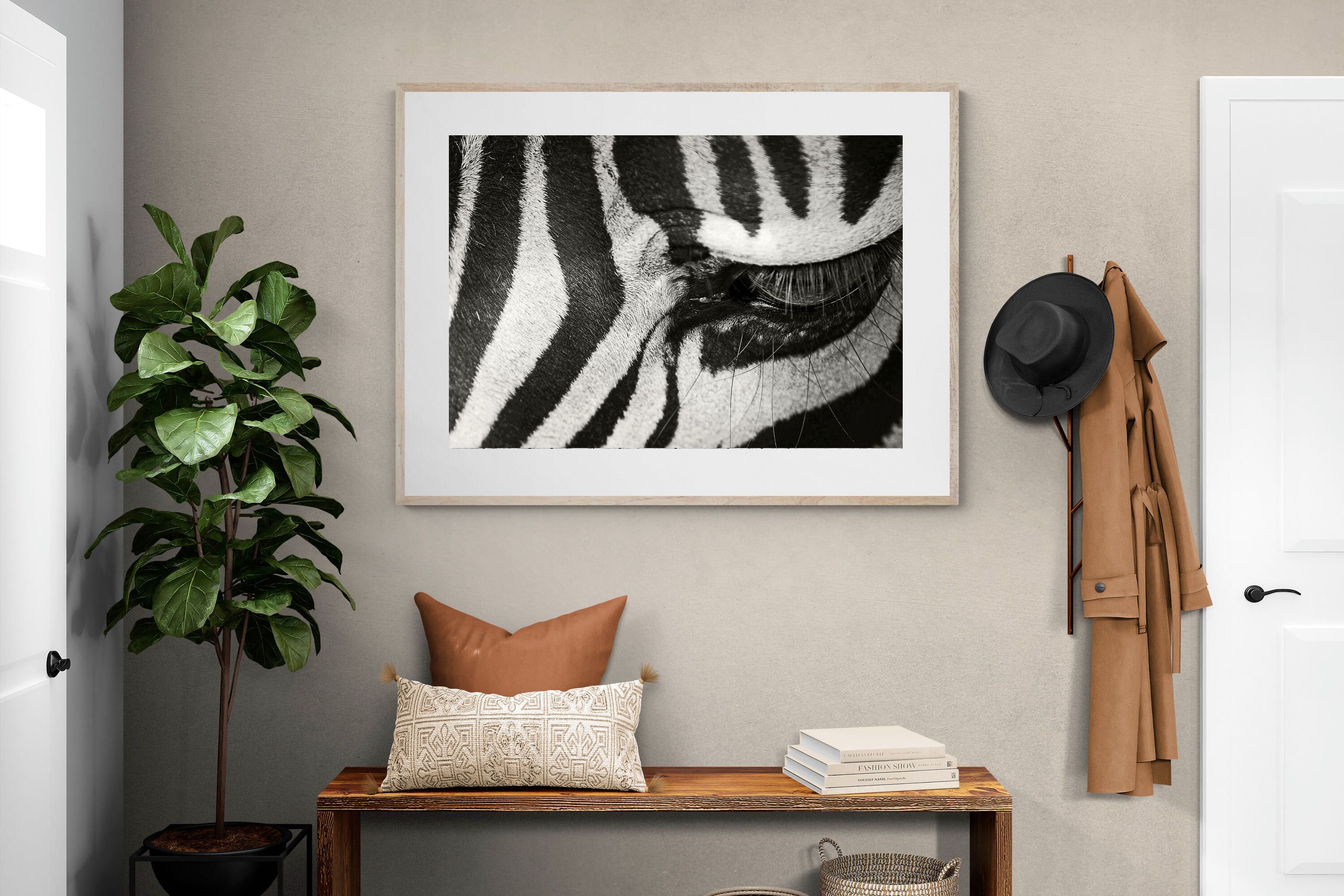 Pixalot ® Striped Gaze