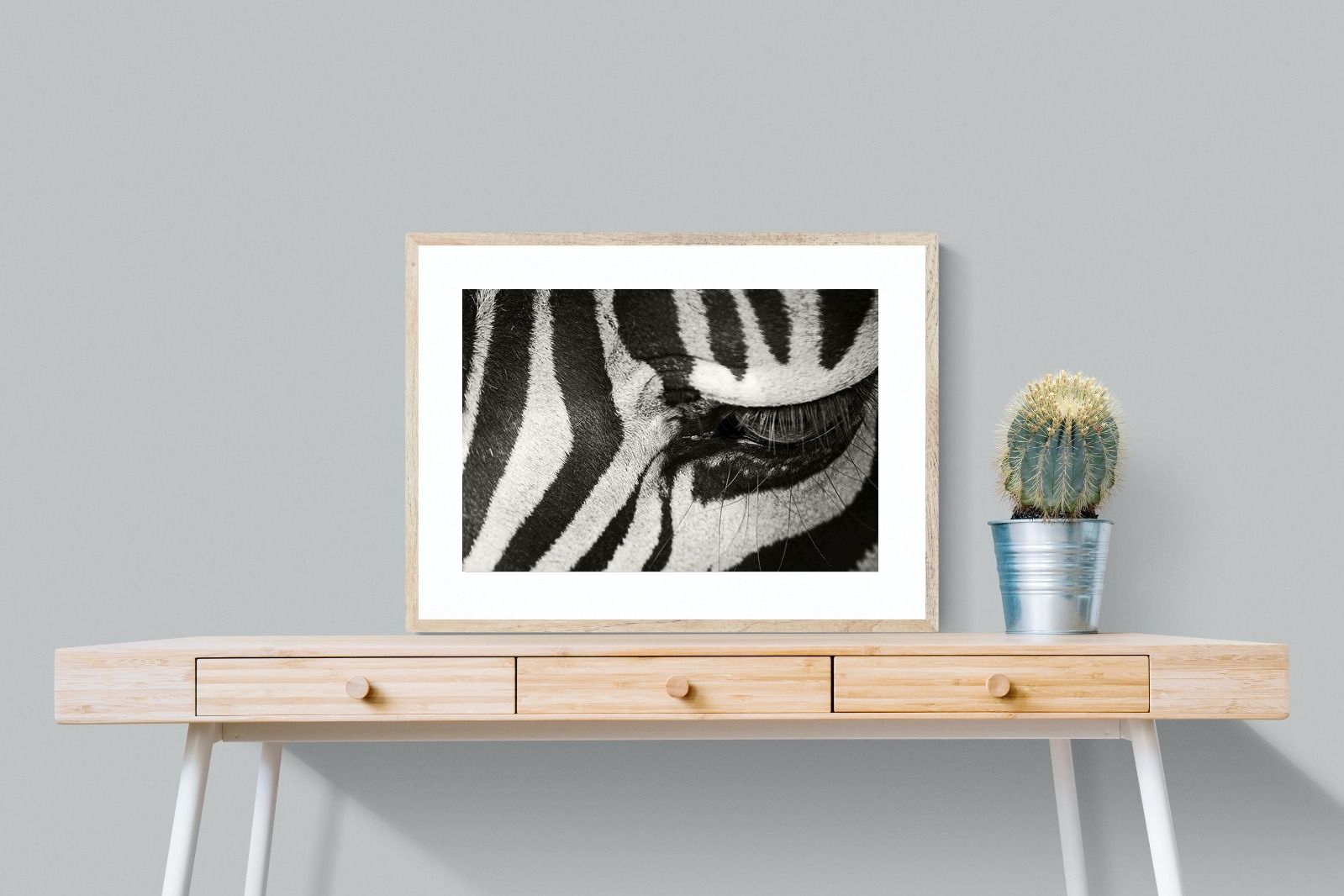Pixalot ® Striped Gaze