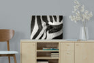 Pixalot ® Striped Gaze