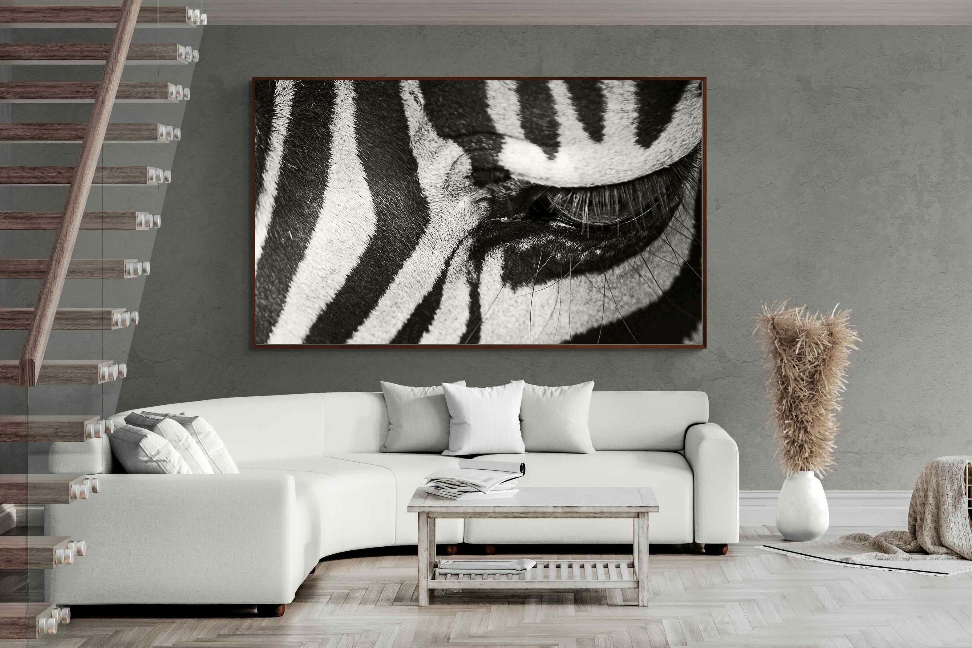 Pixalot ® Striped Gaze