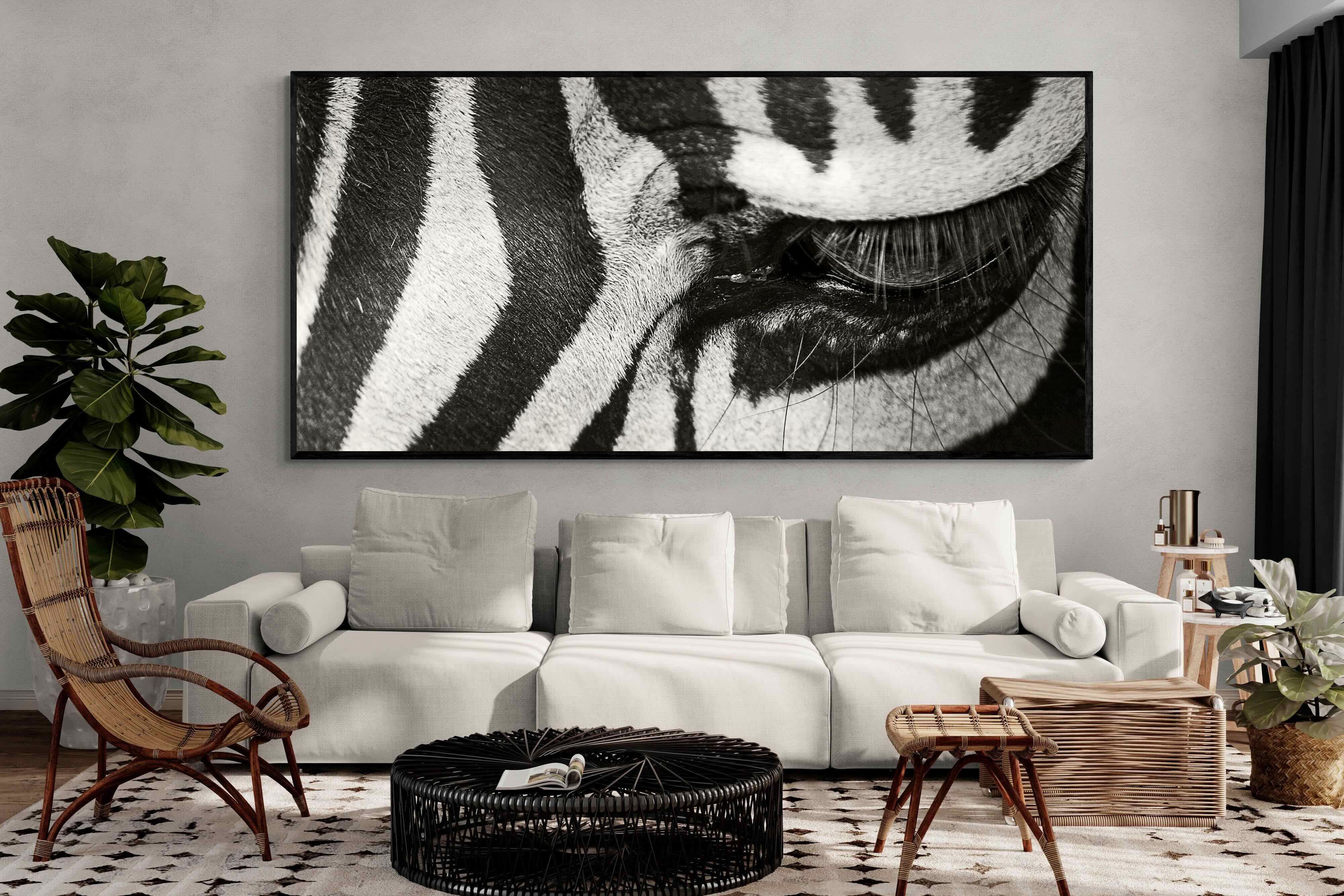 Pixalot ® Striped Gaze