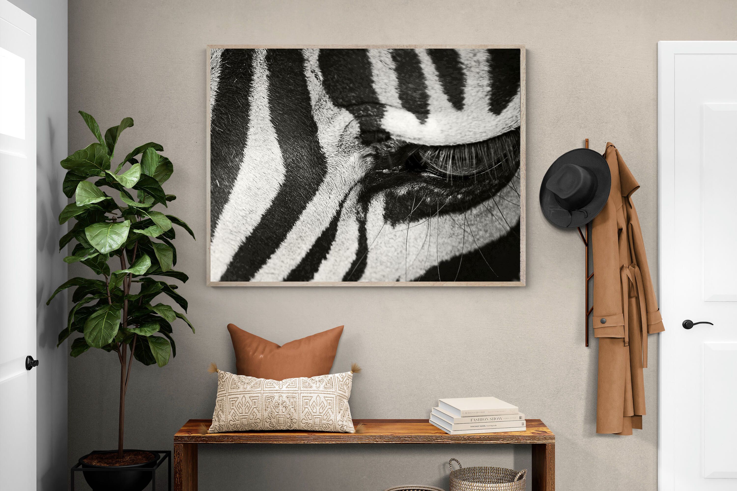 Pixalot ® Striped Gaze