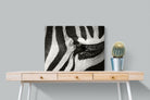 Pixalot ® Striped Gaze