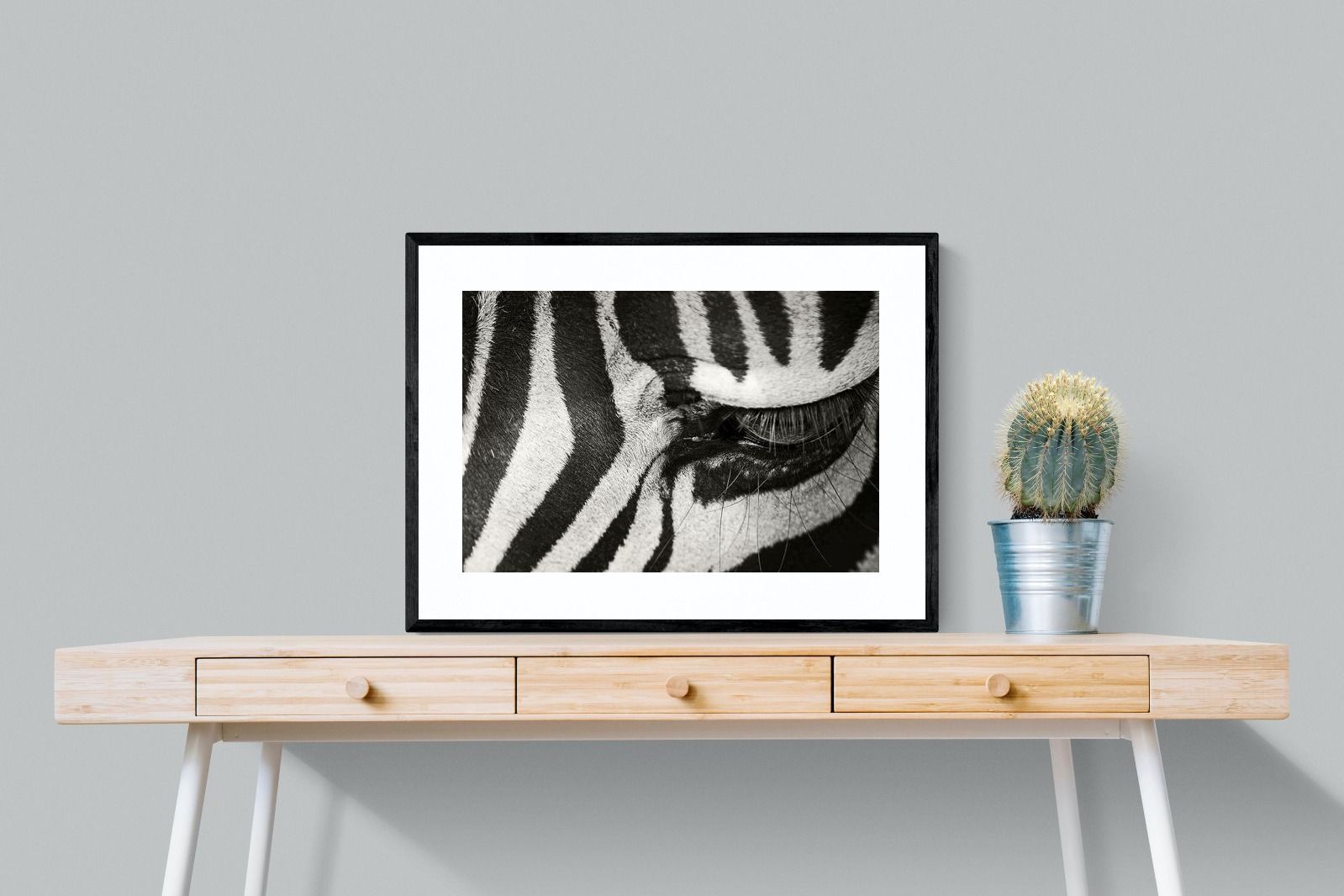 Pixalot ® Striped Gaze