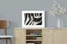 Pixalot ® Striped Gaze