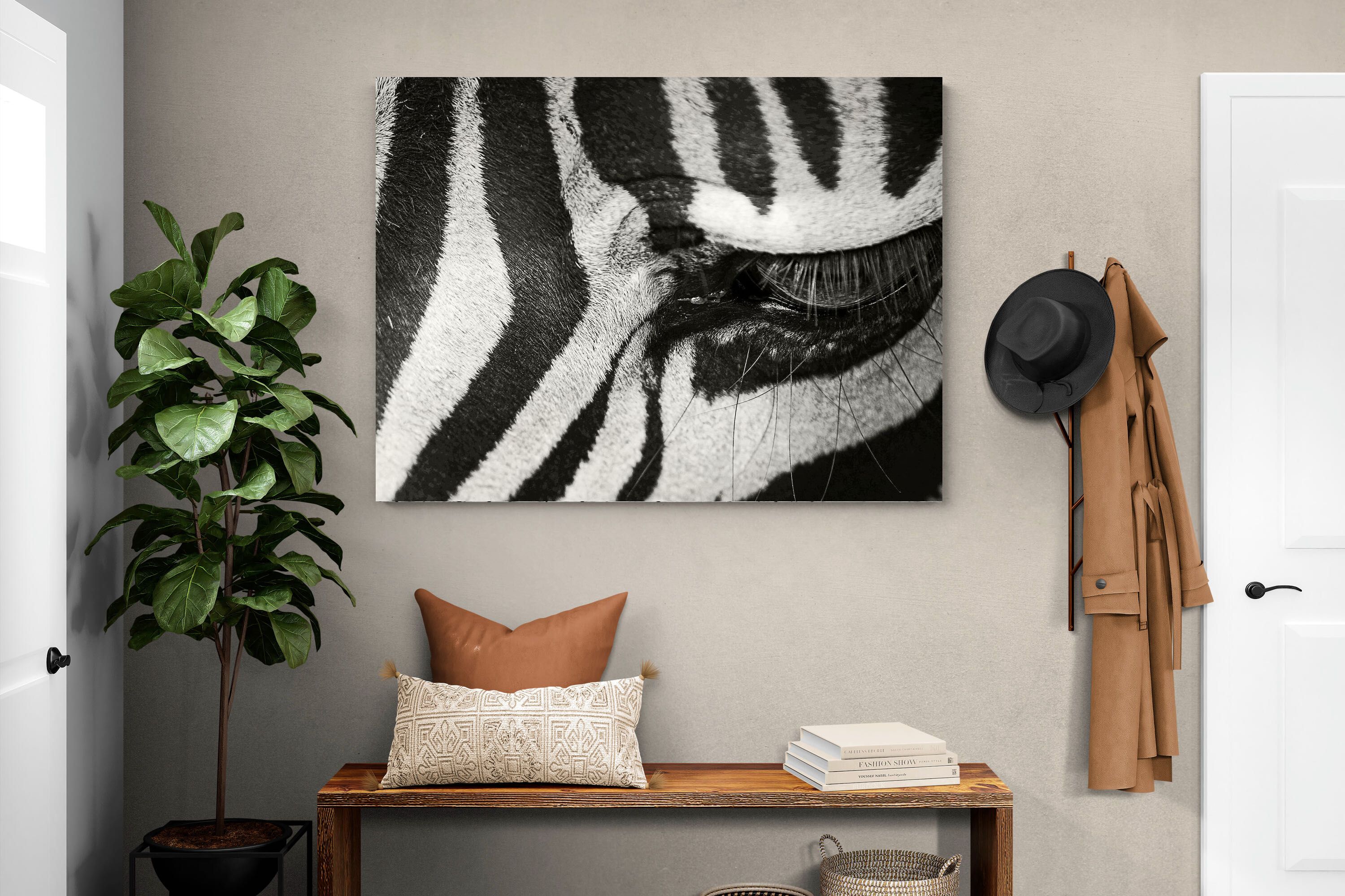 Pixalot ® Striped Gaze