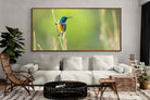 Pixalot ® Sunbird