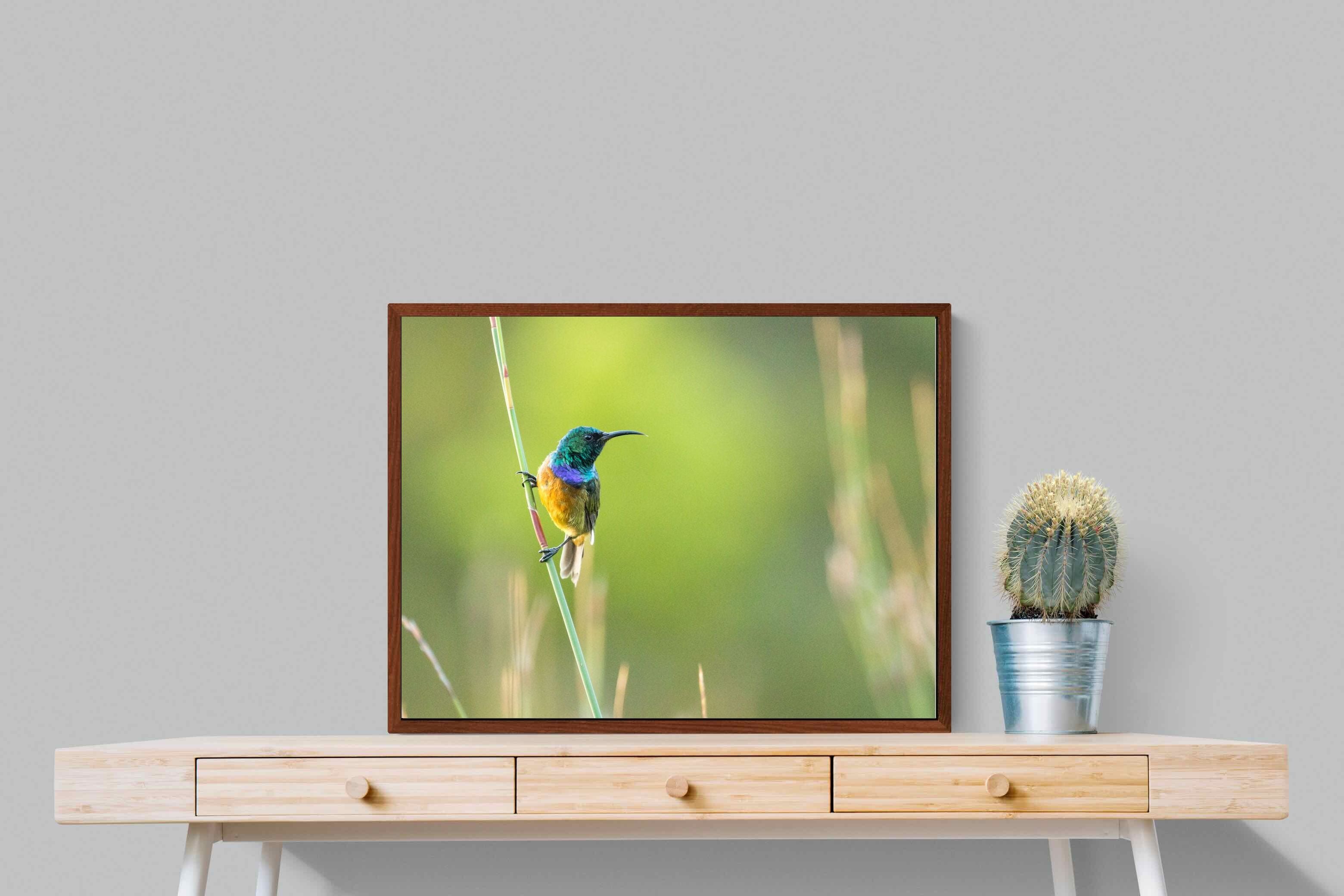 Pixalot ® Sunbird