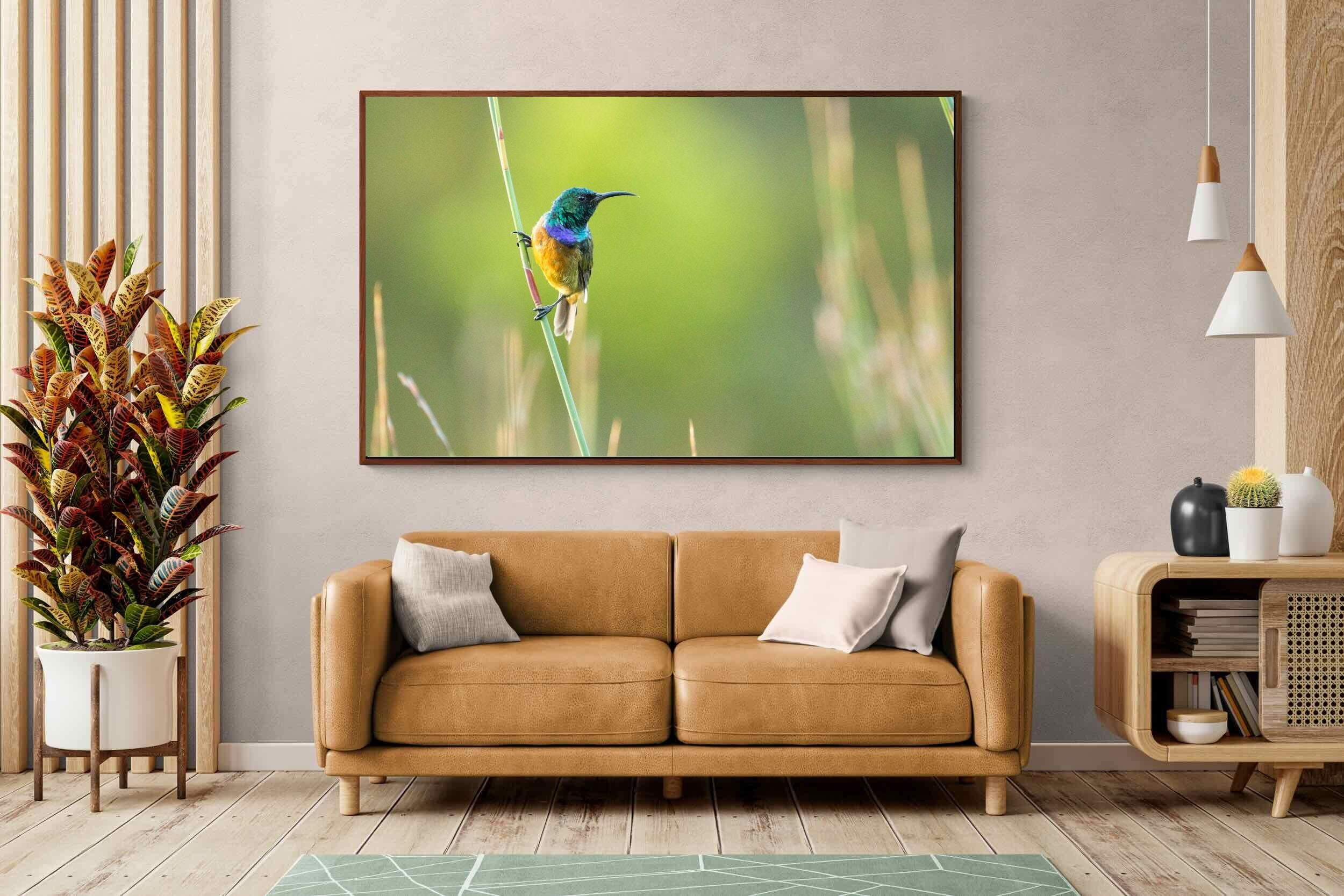 Pixalot ® Sunbird