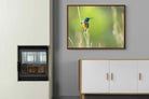 Pixalot ® Sunbird
