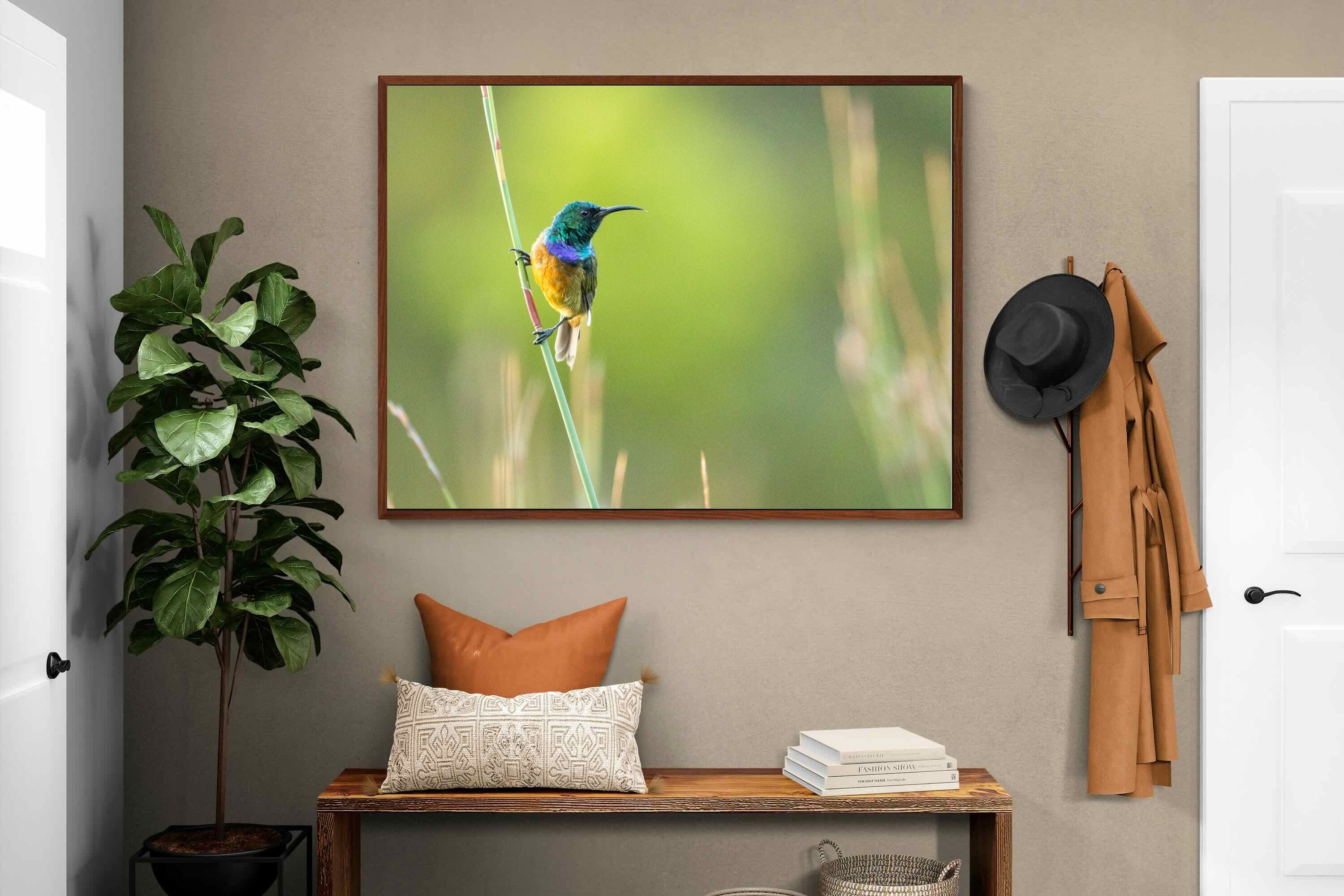 Pixalot ® Sunbird