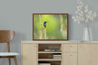 Pixalot ® Sunbird