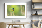 Pixalot ® Sunbird