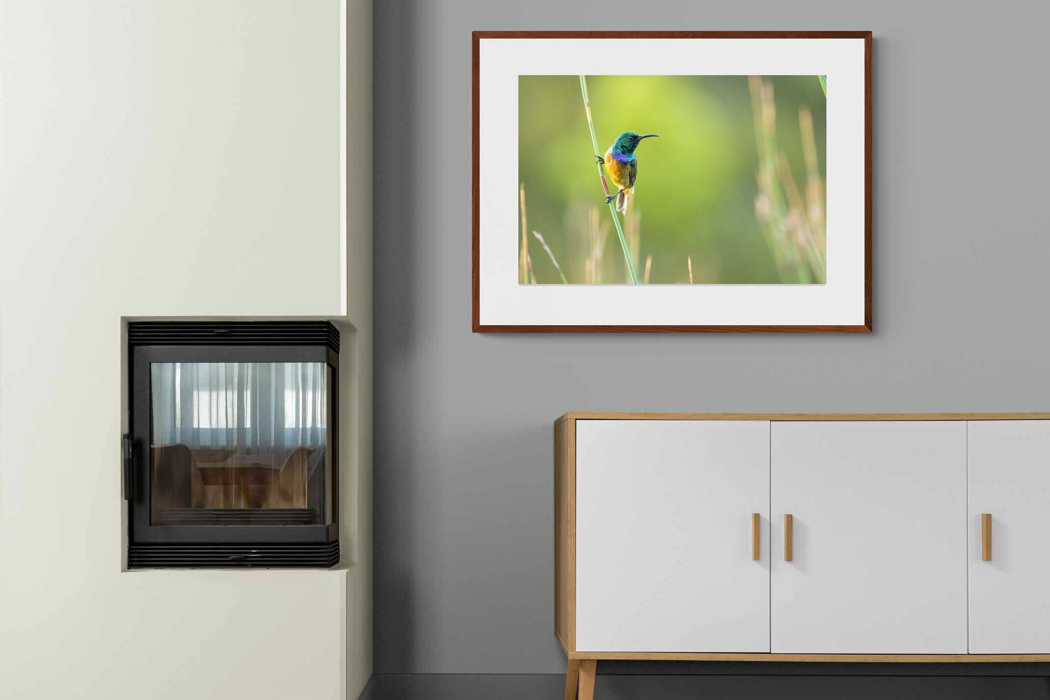 Pixalot ® Sunbird