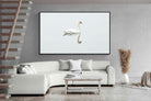 Pixalot ® Swan