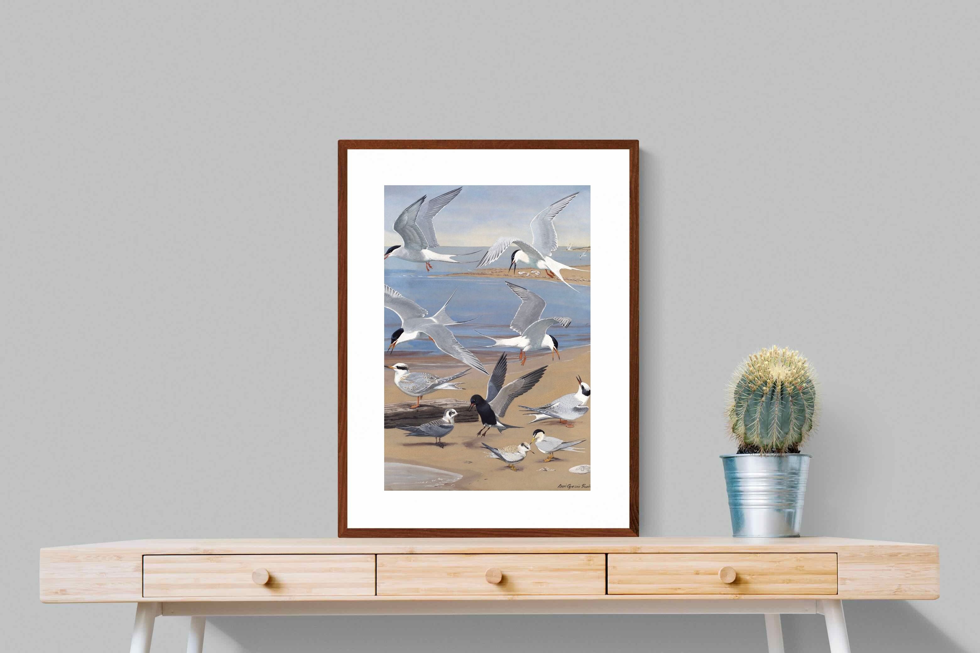 Pixalot ® Terns