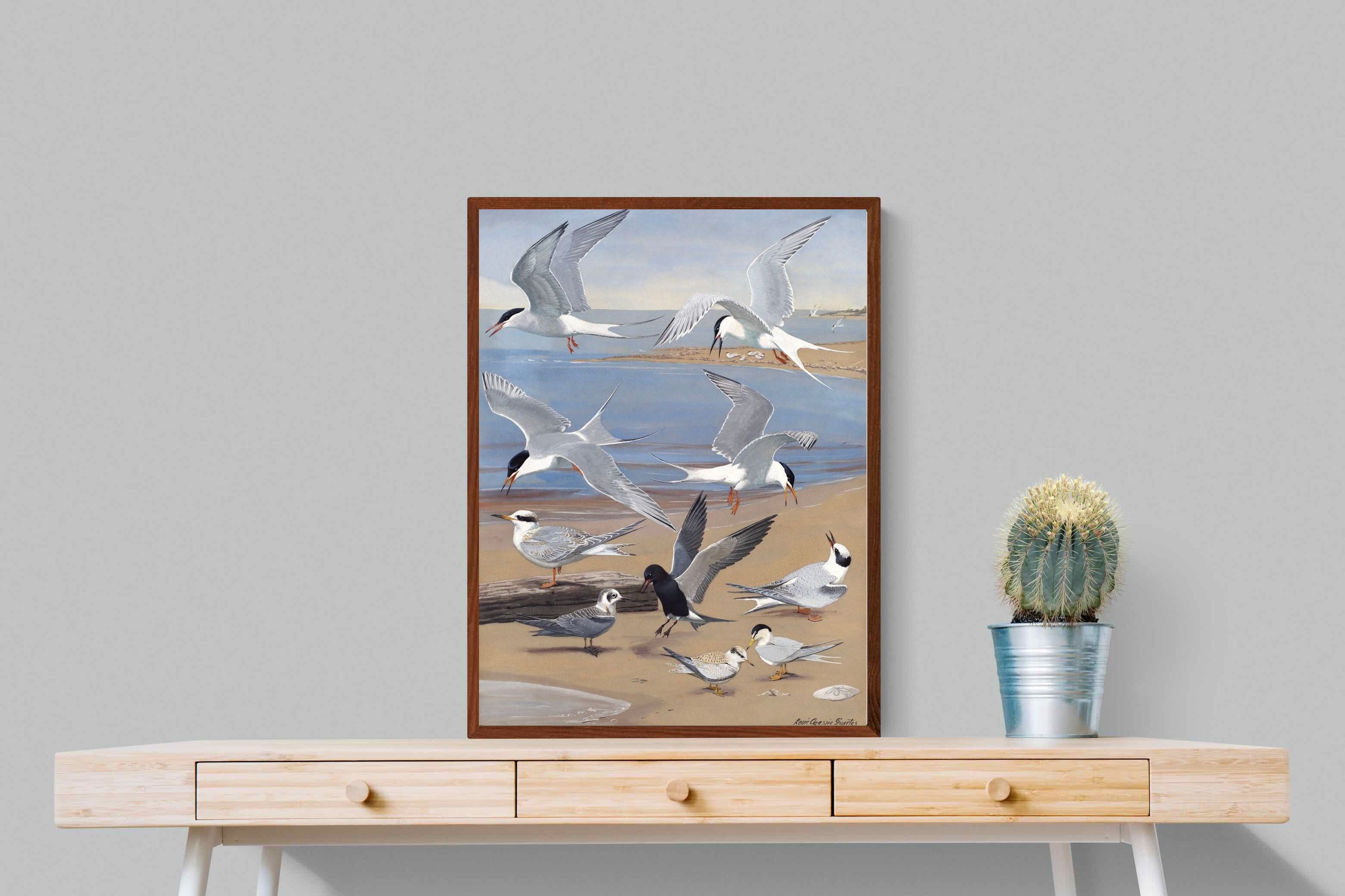 Pixalot ® Terns