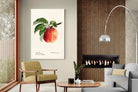 Pixalot ® Tetofka Apple