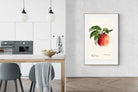 Pixalot ® Tetofka Apple