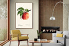 Pixalot ® Tetofka Apple