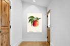 Pixalot ® Tetofka Apple