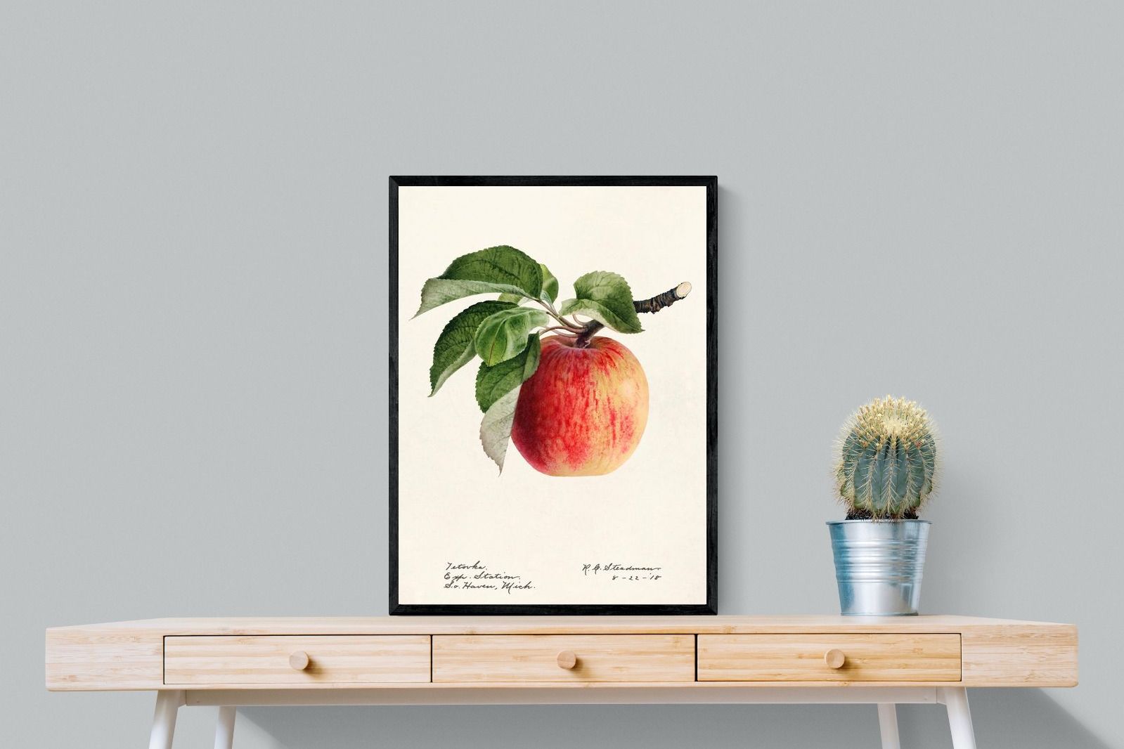 Pixalot ® Tetofka Apple