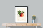 Pixalot ® Tetofka Apple