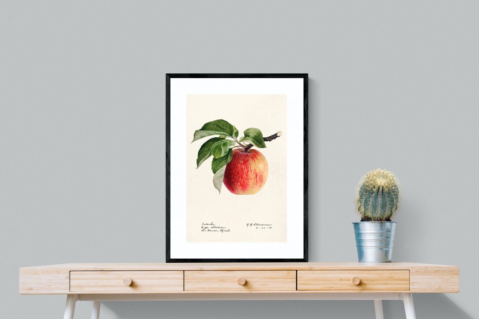 Pixalot ® Tetofka Apple