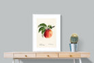 Pixalot ® Tetofka Apple