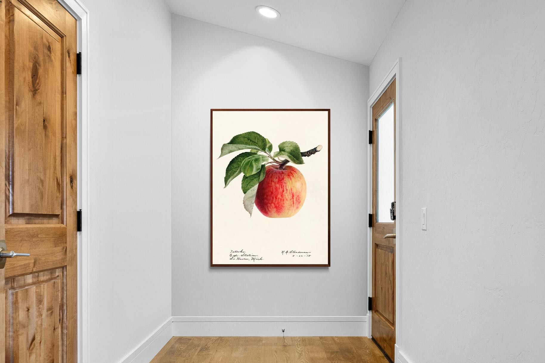 Pixalot ® Tetofka Apple