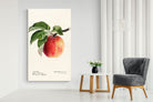 Pixalot ® Tetofka Apple