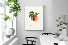 Pixalot ® Tetofka Apple