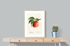 Pixalot ® Tetofka Apple