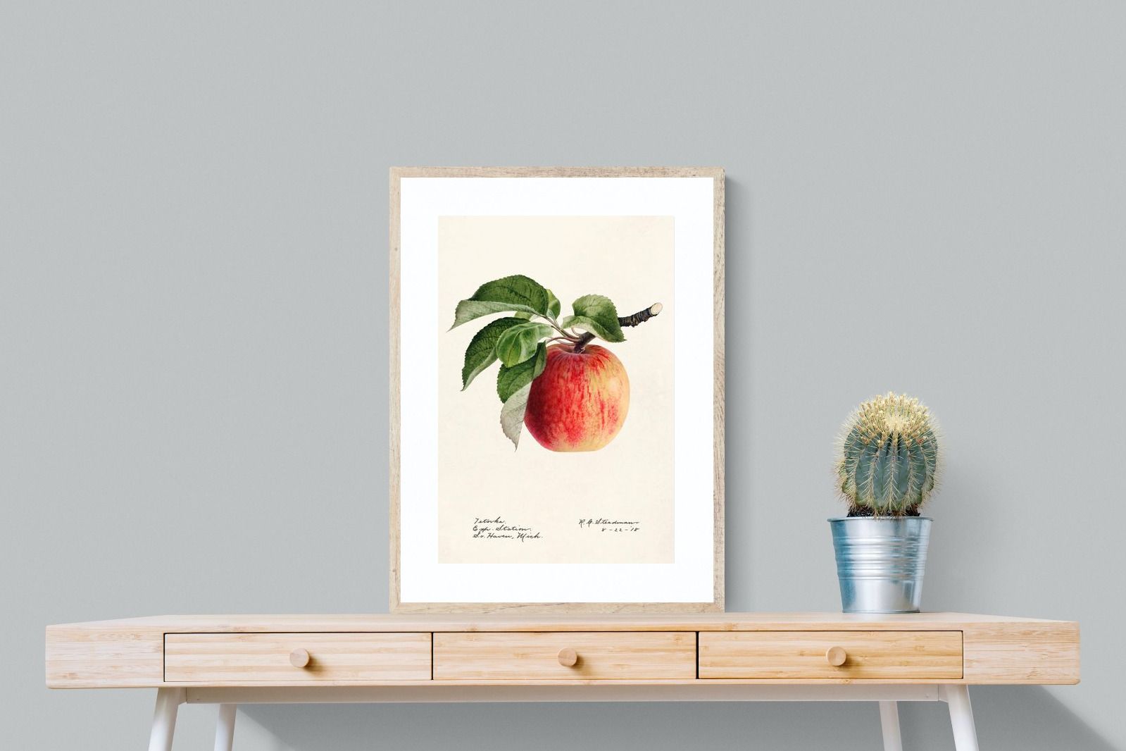 Pixalot ® Tetofka Apple