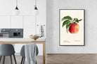 Pixalot ® Tetofka Apple