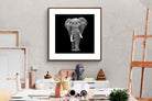 Pixalot ® The Giant