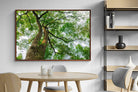 Pixalot ® Tree Canopy