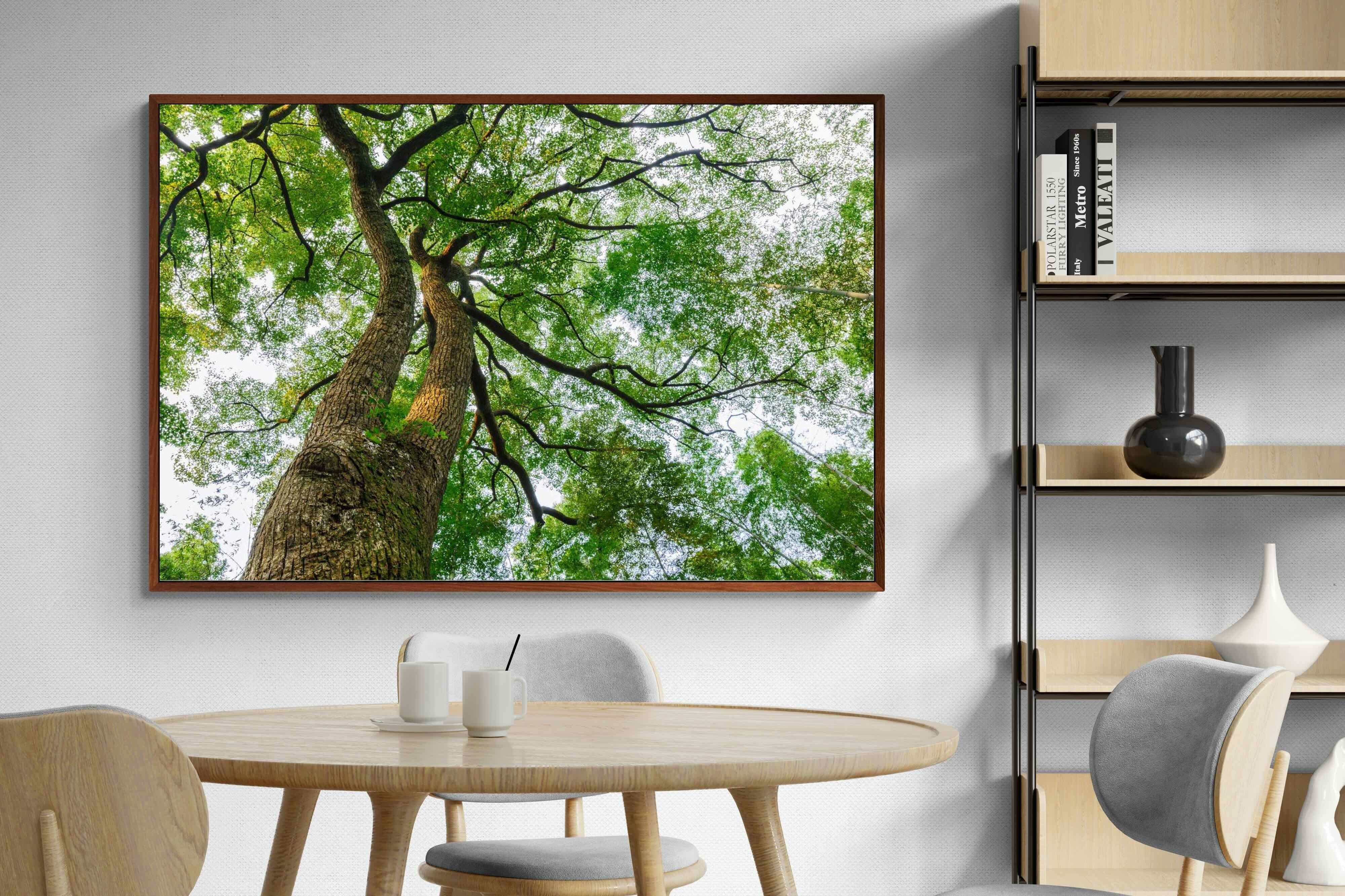 Pixalot ® Tree Canopy