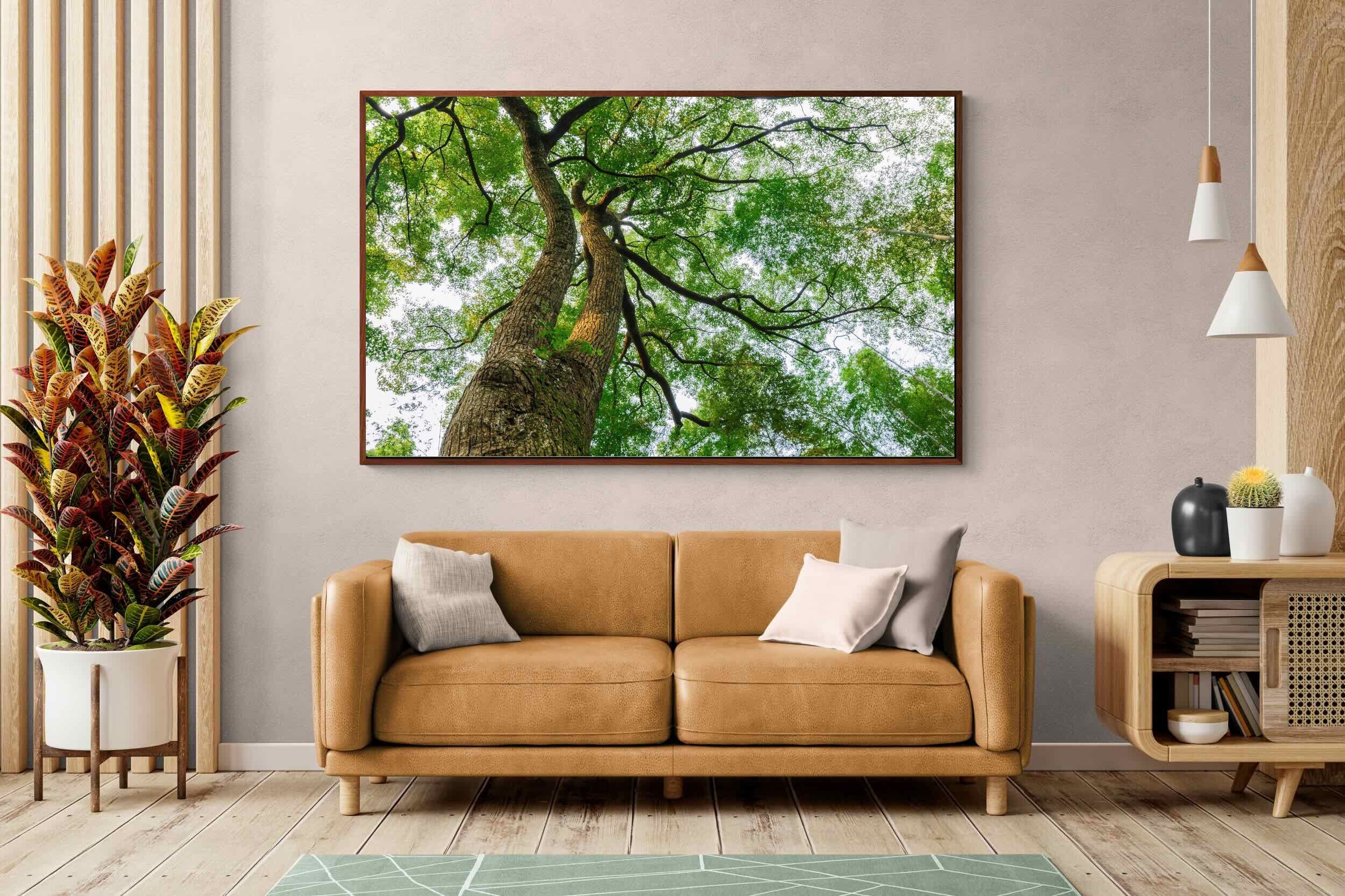 Pixalot ® Tree Canopy