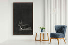 Pixalot ® Waterbuck