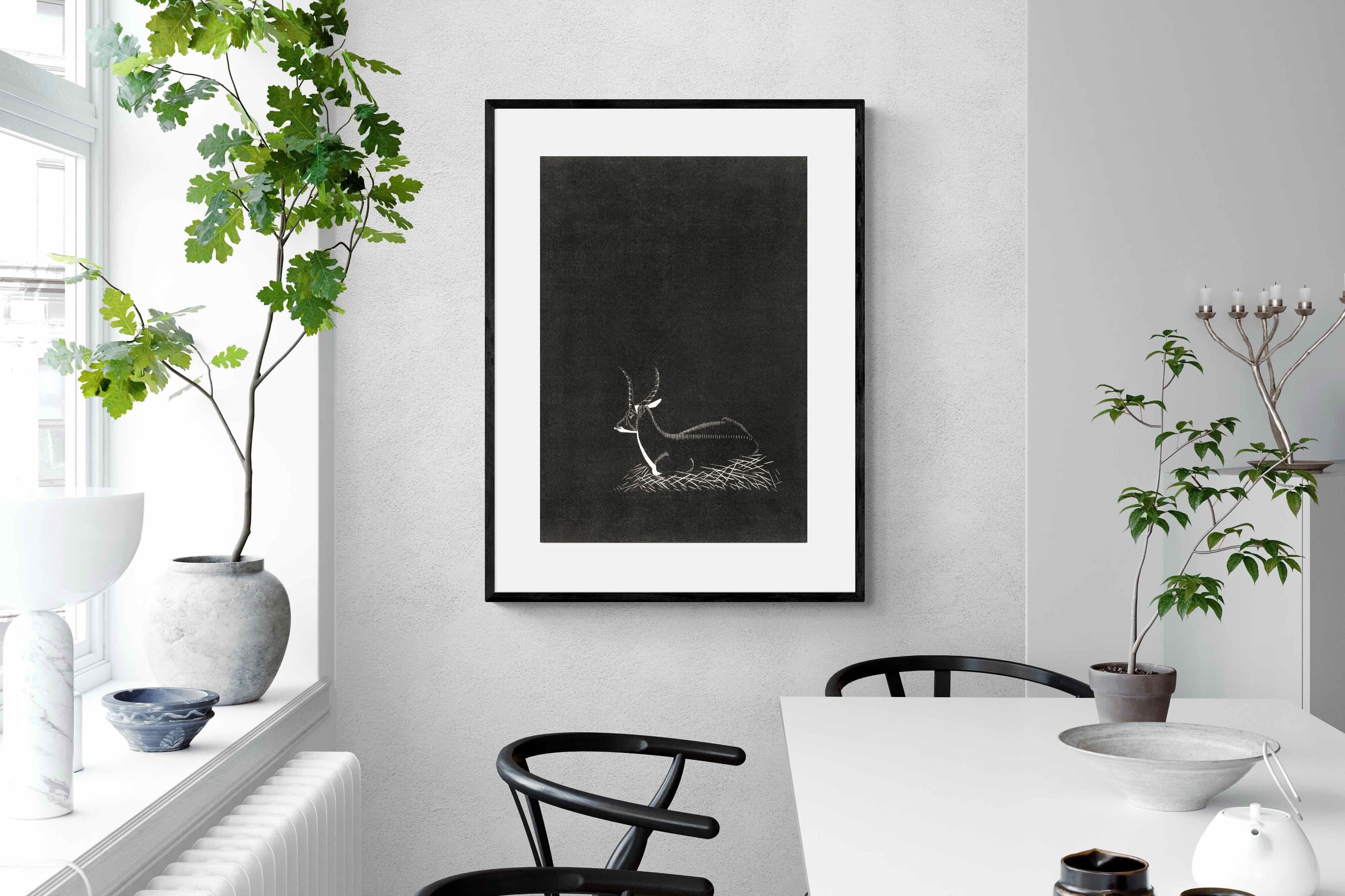 Pixalot ® Waterbuck