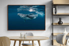 Pixalot ® Whale