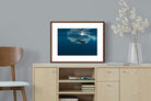 Pixalot ® Whale
