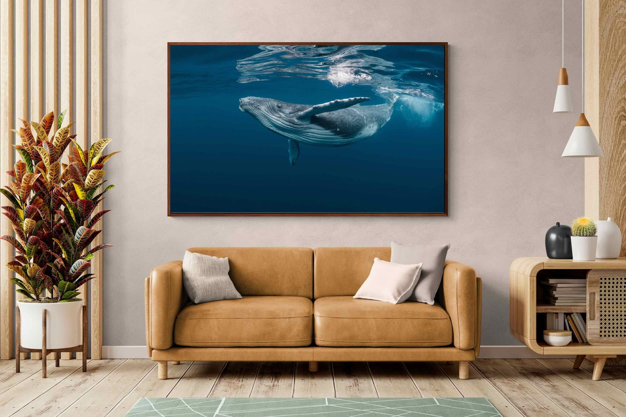Pixalot ® Whale