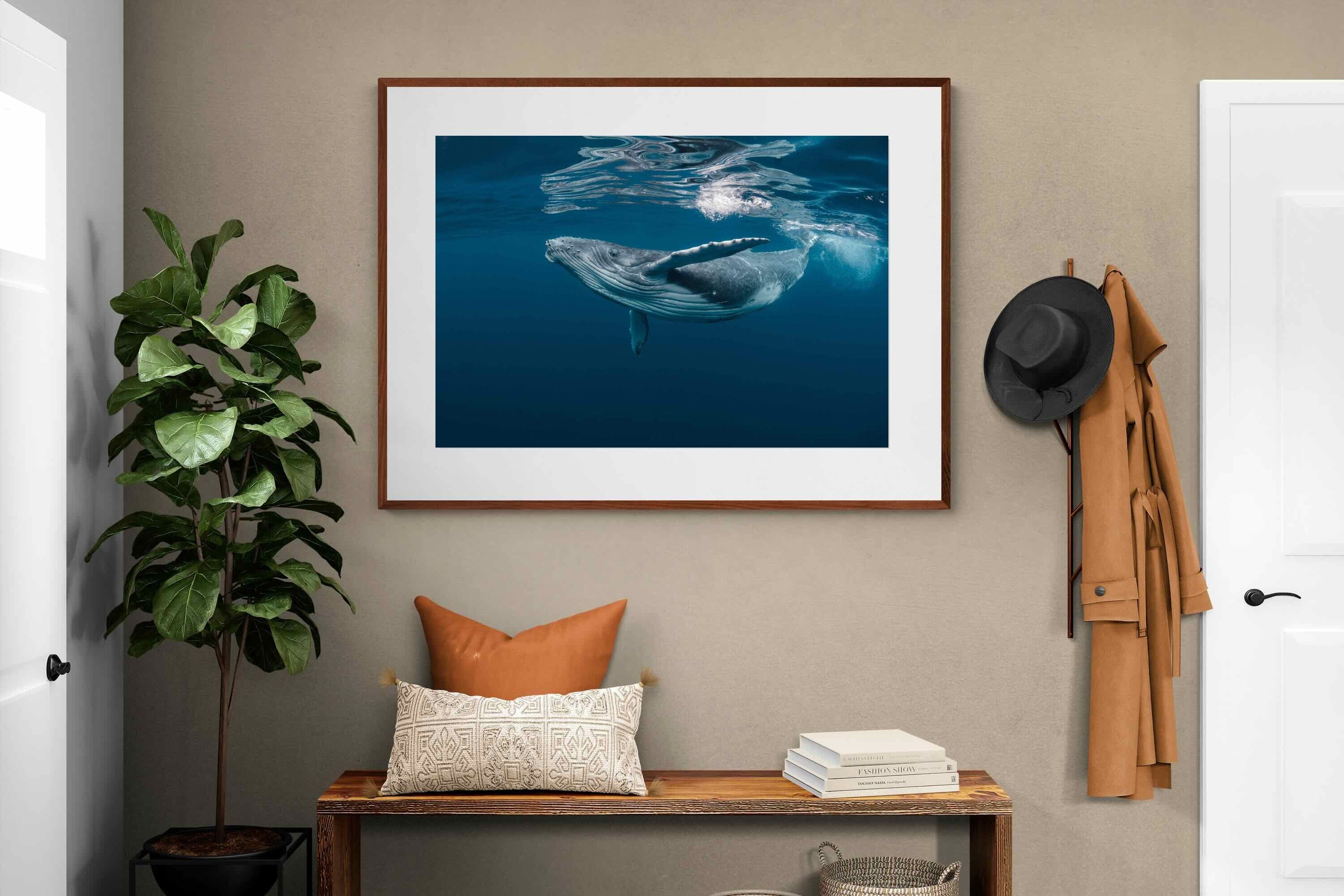 Pixalot ® Whale