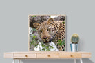 Pixalot ® Wild Gaze
