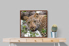 Pixalot ® Wild Gaze