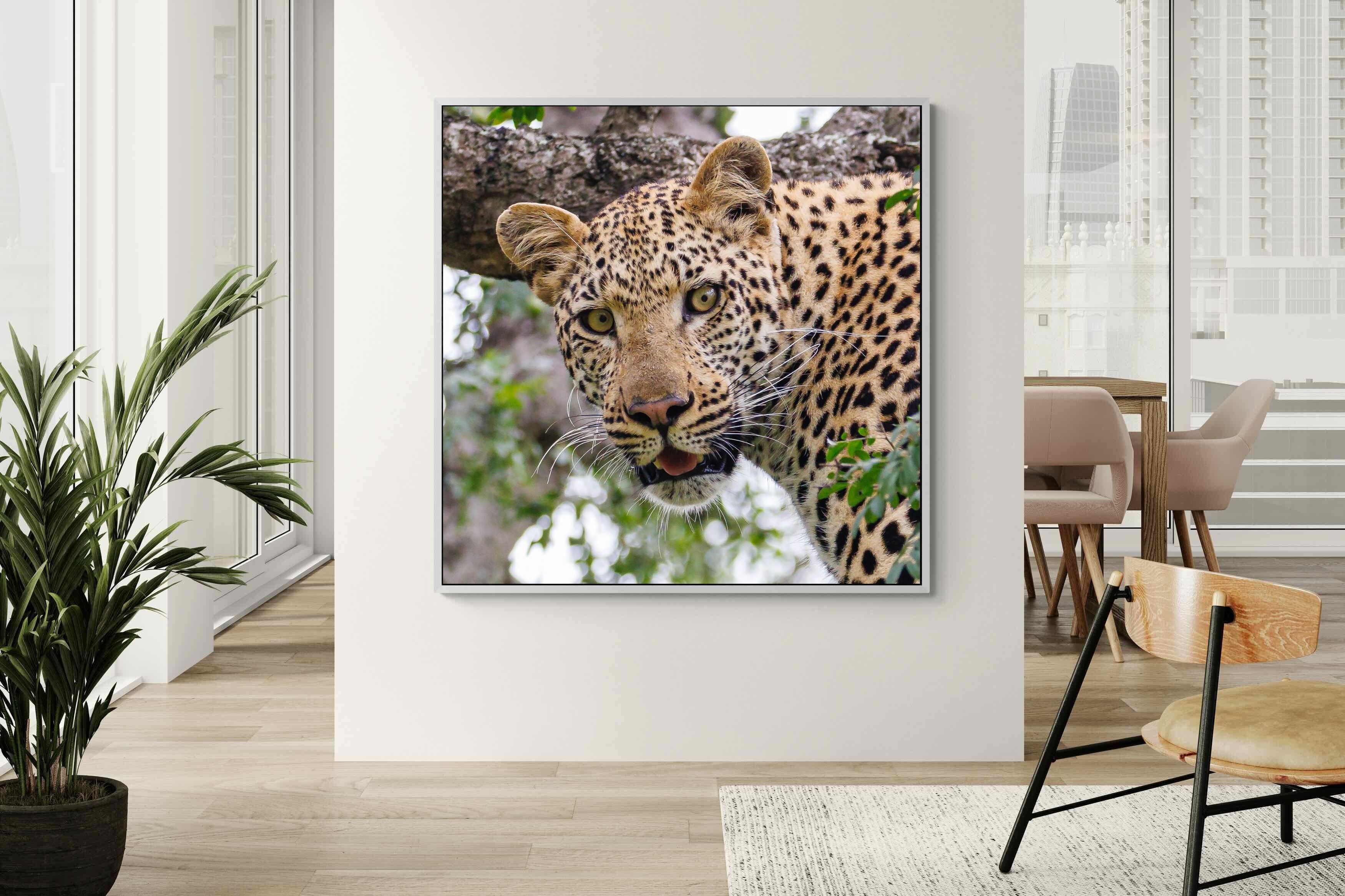 Pixalot ® Wild Gaze