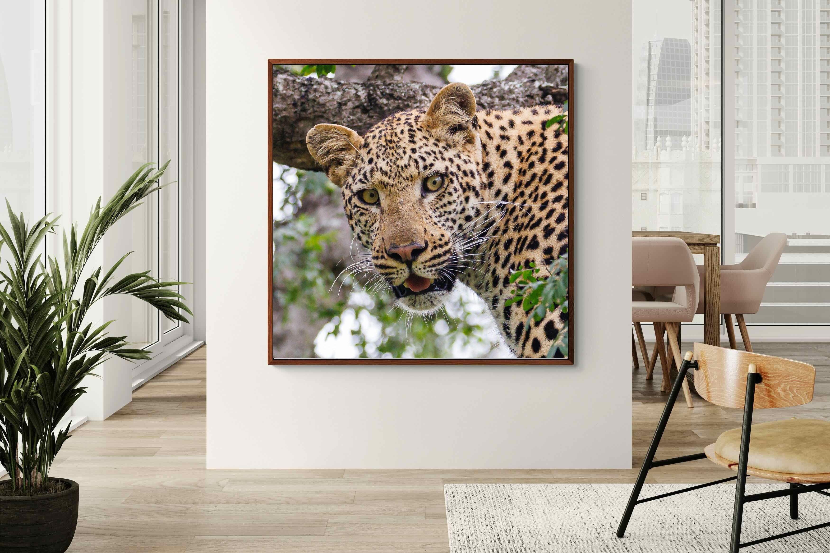 Pixalot ® Wild Gaze