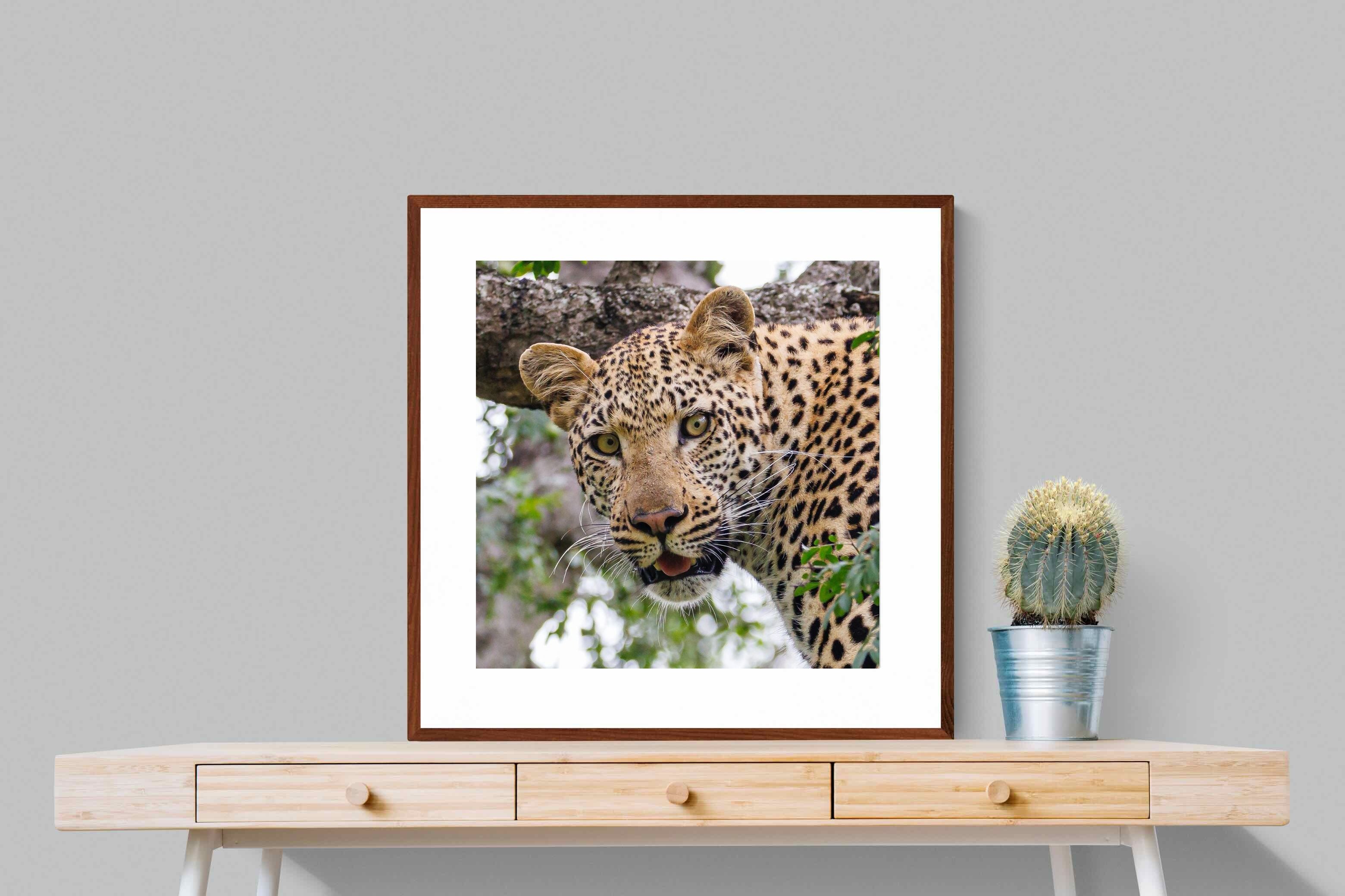 Pixalot ® Wild Gaze